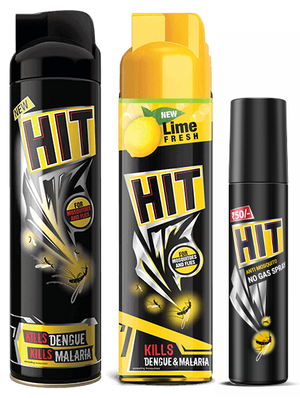 Hit